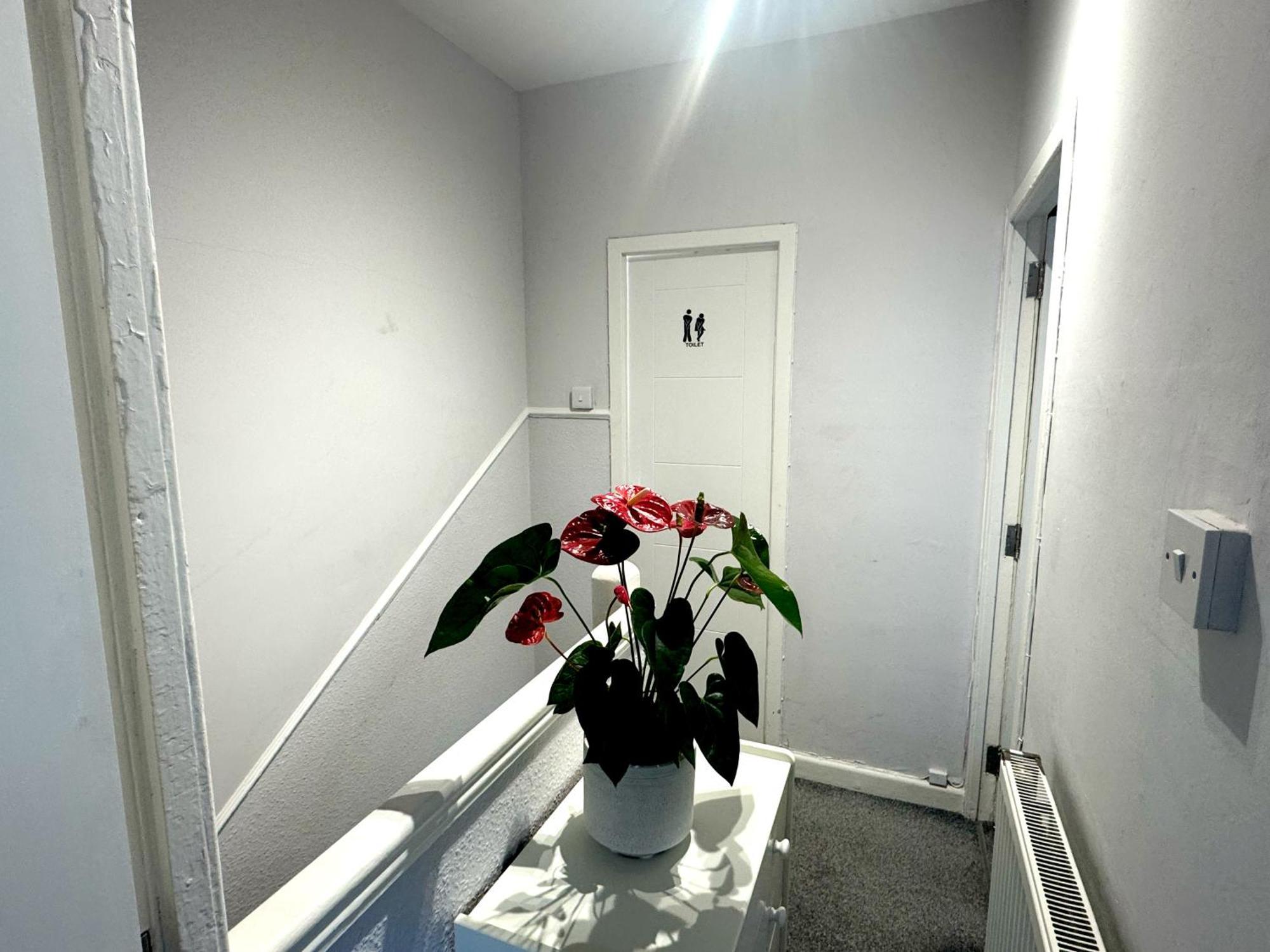 Brixton Hill Retreat Modern And Cosy Privatunterkunft London